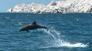 Marieta Islands